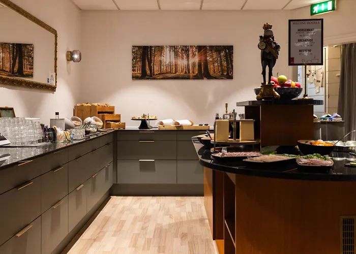 Отель Milling Ansgar 3*